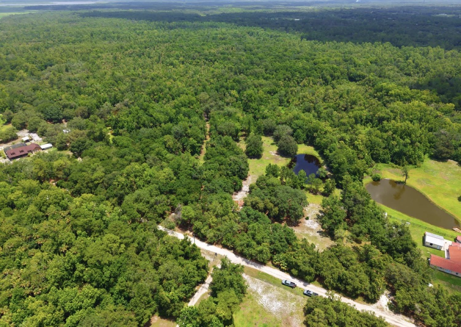Aerial view of wooded acreage with ponds for a land listing